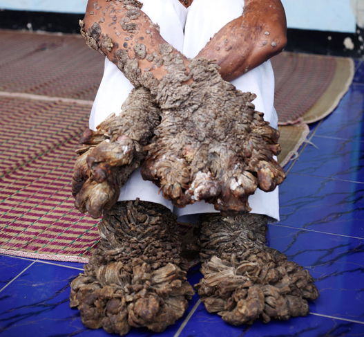 Imagem ilustrativa número 1