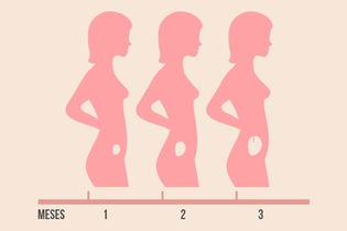 Imagem ilustrativa do artigo Gravidez anembrionária: o que é, como identificar e o que fazer