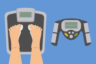 Illustrative image of the article Bioelectrical Impedance: What it Measures & Normal Levels