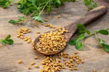 Illustrative image of the article Fenugreek: Health Benefits, Side Effects & Contraindications