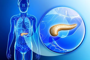 Illustrative image of the article Top 12 Pancreatic Cancer Symptoms (In Early & Late Stages)