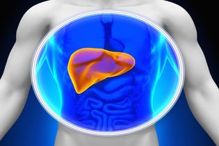 Illustrative image of the article 11 Symptoms of Liver Disease (With Online Symptom Quiz)