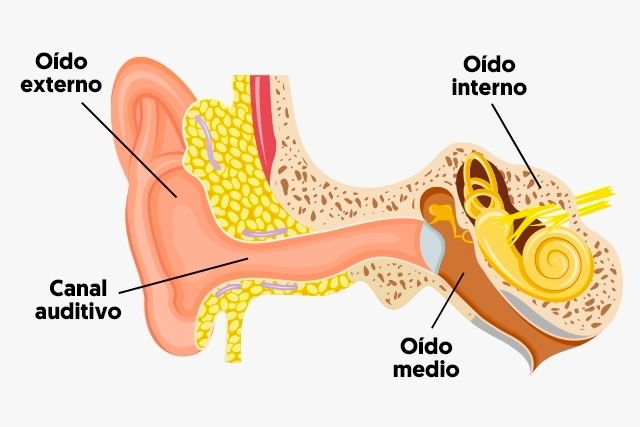 Imagem ilustrativa número 1