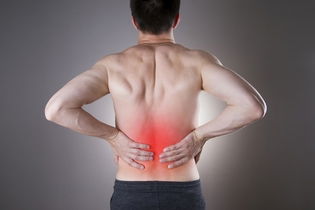 Illustrative image of the article Kidney Pain: 8 Causes, How to Treat & What it Feels Like