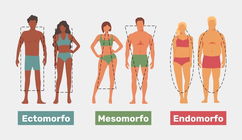 Imagen ilustrativa del artículo Somatotipos: qué son, tipos y cómo saber el mi tipo de cuerpo