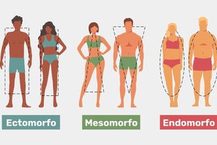 Imagen ilustrativa del artículo Somatotipos: qué son, tipos y cómo saber el mi tipo de cuerpo