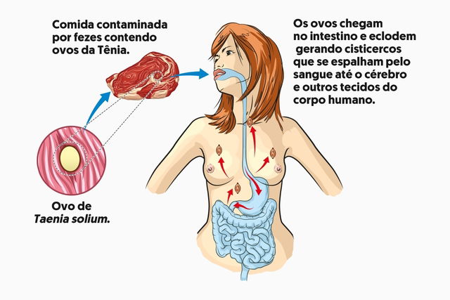 Imagem ilustrativa número 2