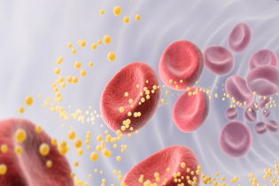 Imagen ilustrativa del artículo Calculadora colesterol: total, HDL, LDL, VLDL y triglicéridos