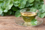 Illustrative image of the article Centella Asiatica: 13 Health Benefits Plus How to Make a Tea