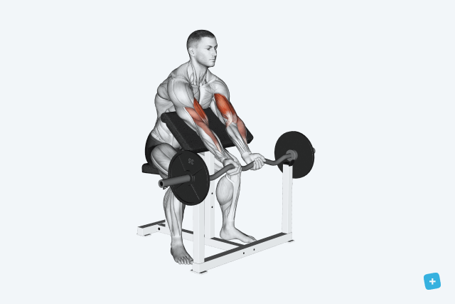 Imagem ilustrativa número 15