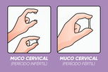 Illustrative image of the article Cervical Mucus: What It Looks Like & How to Assess