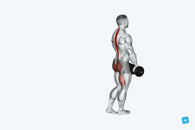 Imagem ilustrativa número 13