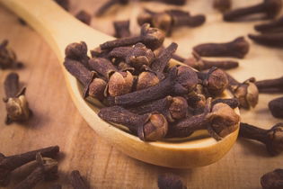 Illustrative image of the article Cloves: 12 Health Benefits, How to Use & Contraindications