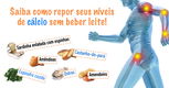Imagem ilustrativa do artigo Alimentos ricos em cálcio sem leite