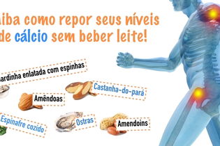 Imagem ilustrativa do artigo Alimentos ricos em cálcio sem leite