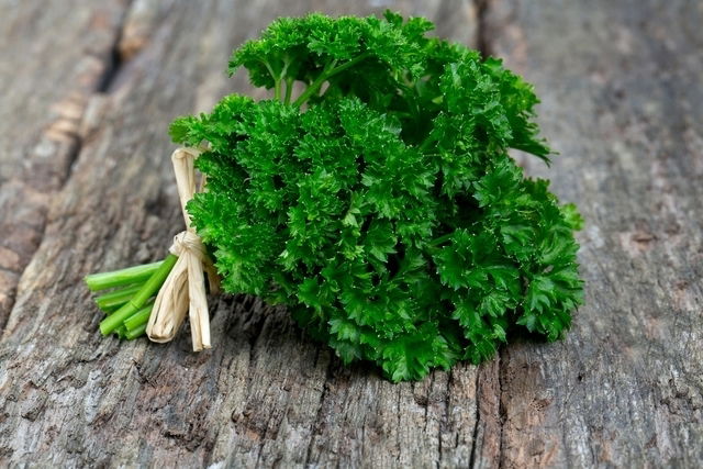 Health benefits of parsley juice outlet