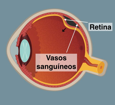 Imagem ilustrativa número 2