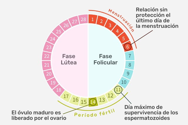 Es posible quedar embarazada durante la menstruacion Tua Saude