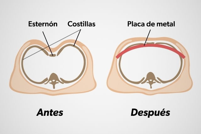 Imagem ilustrativa número 1