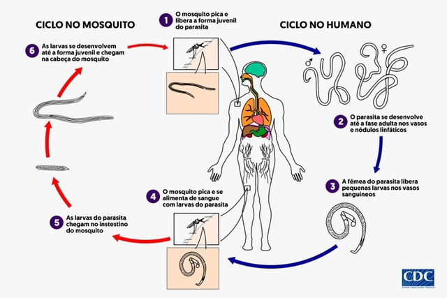 Imagem ilustrativa número 1