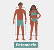 Imagem ilustrativa do artigo Ectomorfo: o que é, características e dieta (com cardápio)