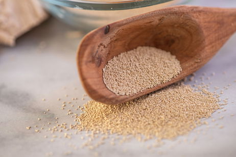 Image illustrative de l'article Levure de bière : ce que c'est, bienfaits (et comment consommer)