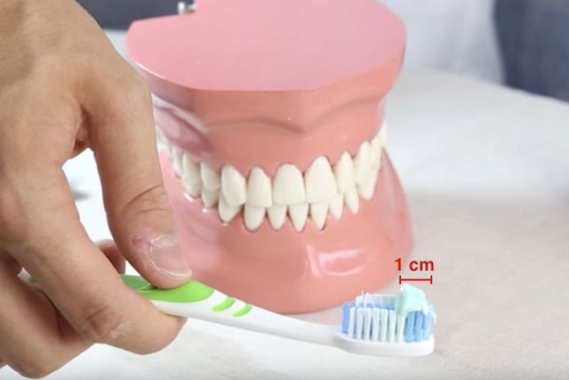 Imagem ilustrativa número 2