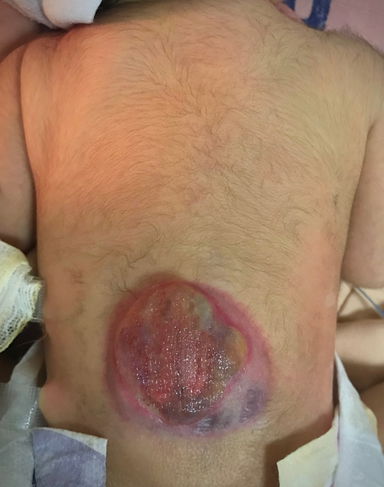 Imagem ilustrativa número 4