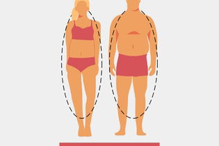 Illustrative image of the article Endomorph: Body Type & Diet (w/ Meal Plans) 