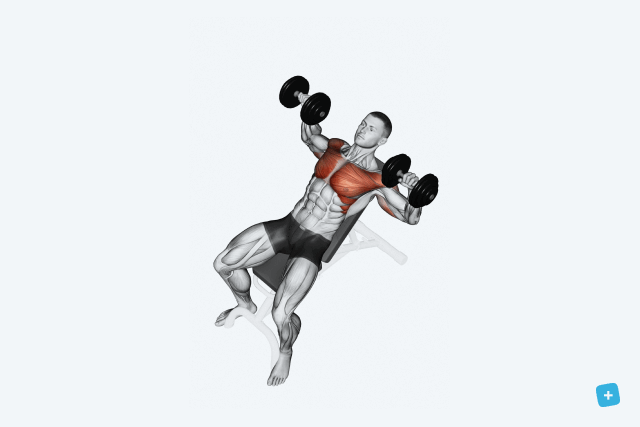 Imagem ilustrativa número 7