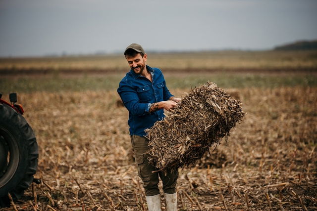 Homem vestido de botas e carregando um fardo de feno no celeiro