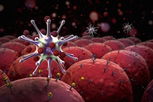 Illustrative image of the article What Are Lymphocytes? (Normal, High and Low Levels)
