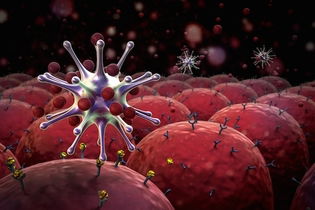 Illustrative image of the article Lymphocytes: What Are They, Types & High or Low Levels 