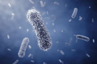 Illustrative image of the article E. Coli: Symptoms (w/ Online Checker) & How to Treat