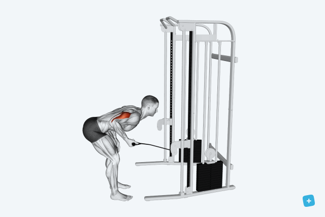 Imagem ilustrativa número 26