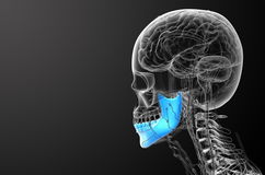 Imagen ilustrativa del artículo Cáncer de mandíbula: qué es, síntomas y tratamiento