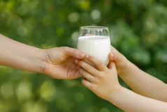 Imagem ilustrativa do artigo Leite é realmente um alimento inflamatório?