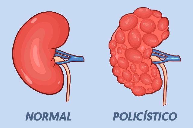 Imagem ilustrativa número 1