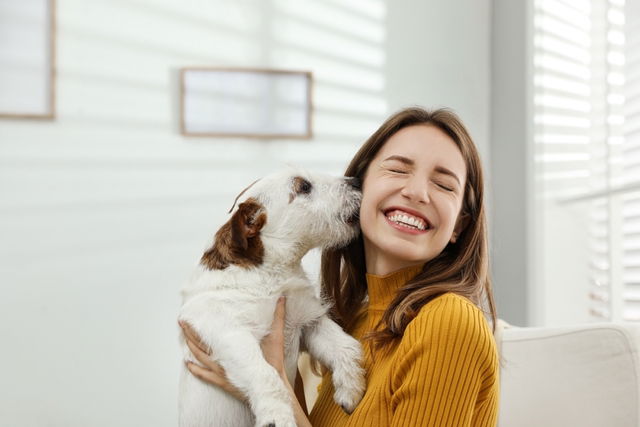 Perrito lame a su dueña