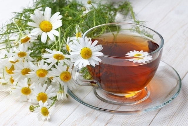 chamomile tea and flowers