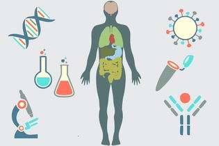 Imagem ilustrativa do artigo Injeção para alergia: saiba como funciona a imunoterapia específica