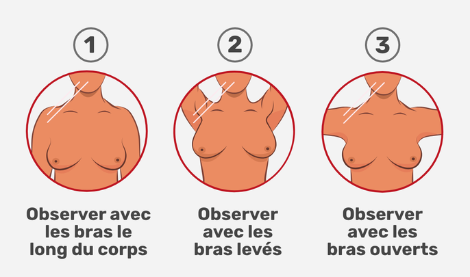 Imagem ilustrativa número 4