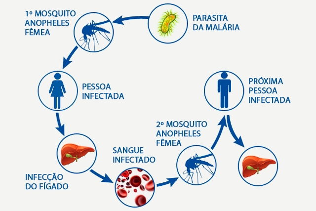 Imagem ilustrativa número 3