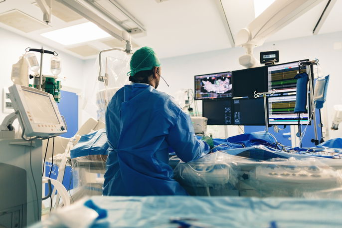 Imagem ilustrativa número 1