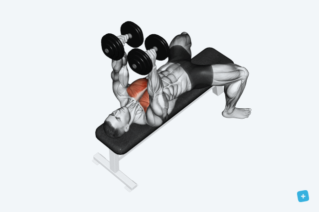 Imagem ilustrativa número 7