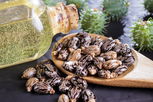 Image illustrative de l'article Huile de ricin: bienfaits (et comment l'utiliser)