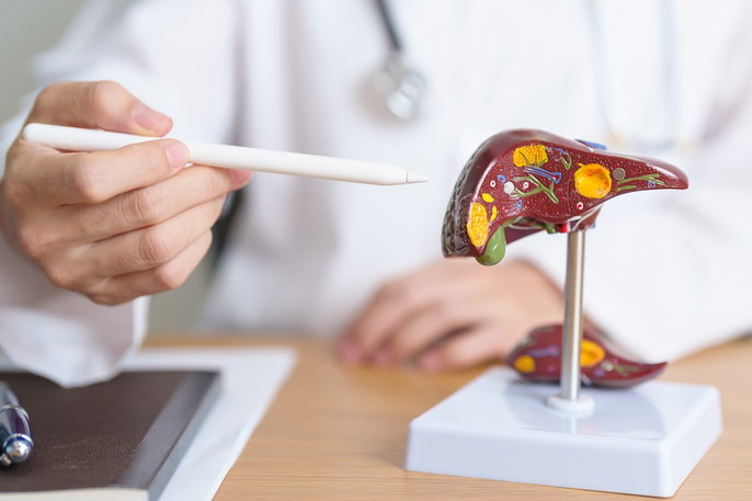 Imagem ilustrativa número 1