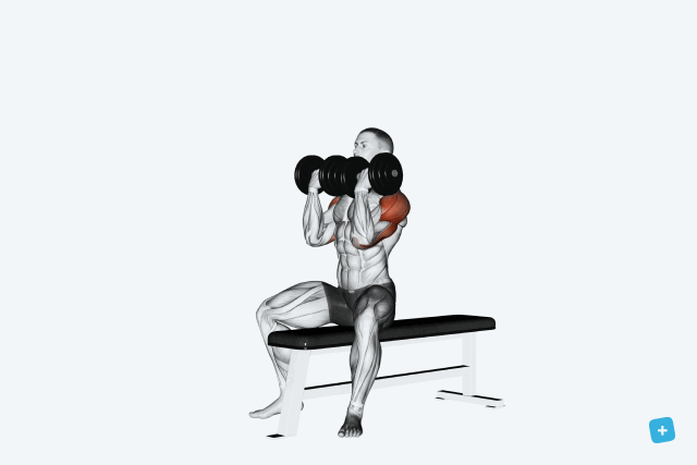 Imagem ilustrativa número 13