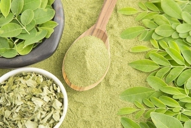 Moringa: Para Que Serve, Benefícios, Como Consumir (E Como Fazer O Chá)