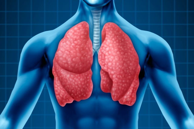 Illustrative image of the article Pneumonia: Symptoms, Causes, Diagnosis & Treatment